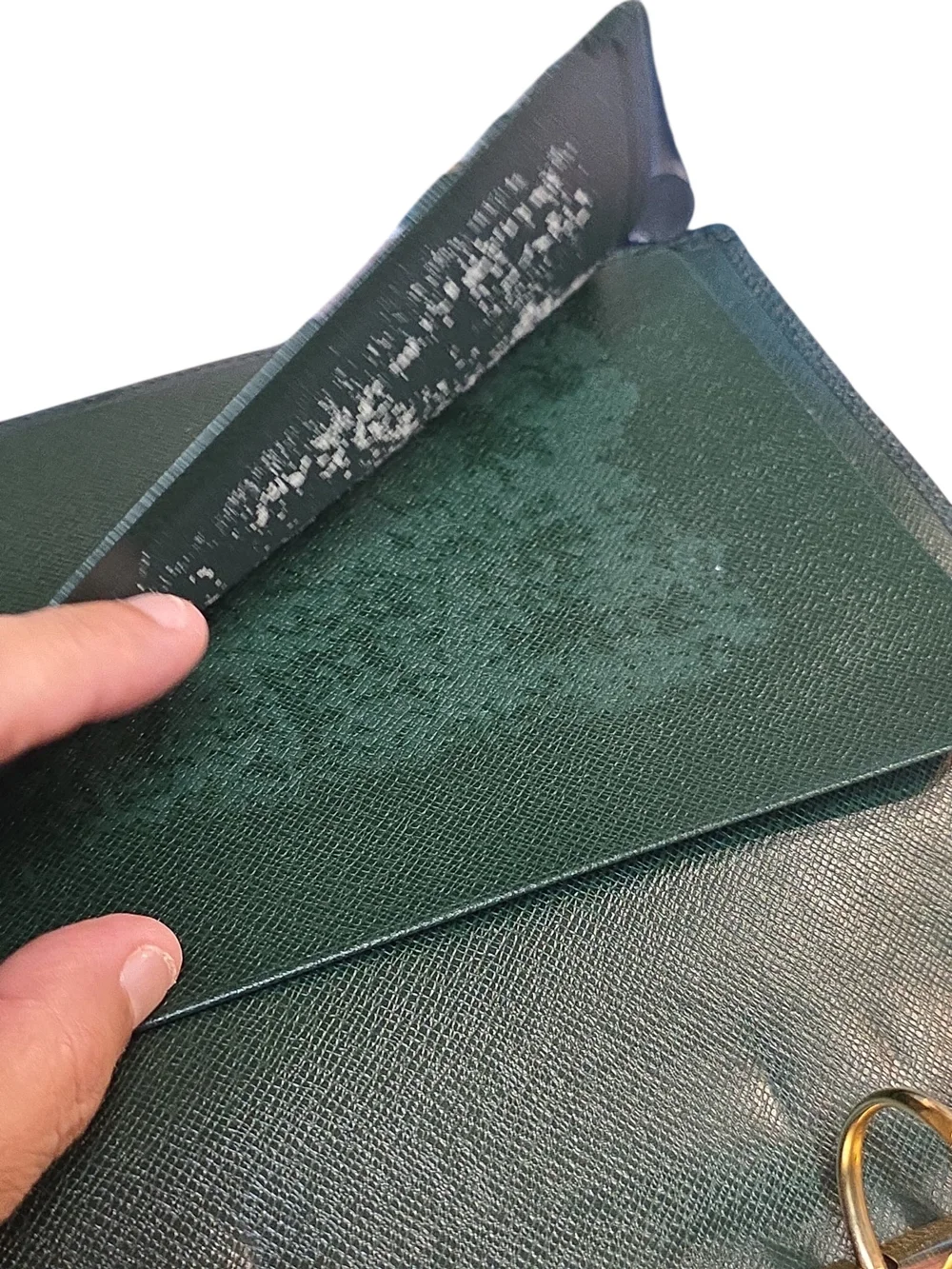 Louis Vuitton elegant louis